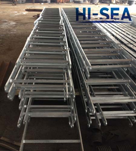 Vessel Stainless Steel Vertical Ladder