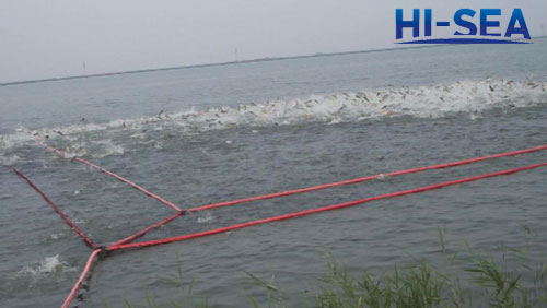 Inflatable Lift Net for Fishing