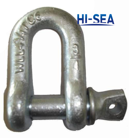 Galvanized Drop Forged Chain Shackle
