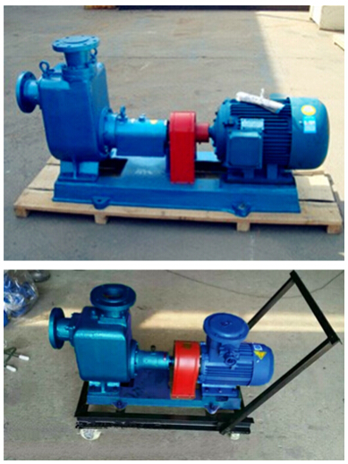 WZW Marine Self-priming Polluted Water Centrifugal Pump