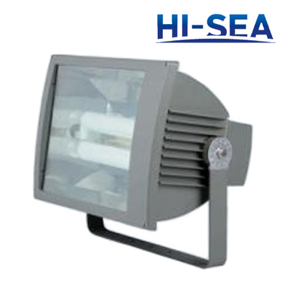 Water-proof Dust-proof Corrosion-proof Flood Electrodeless Light